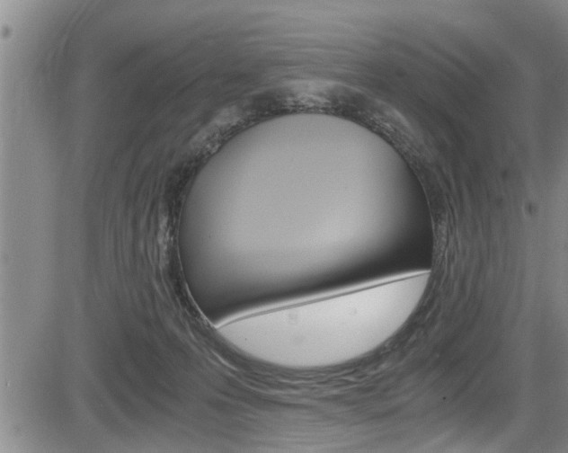 X0000084030223200702160900