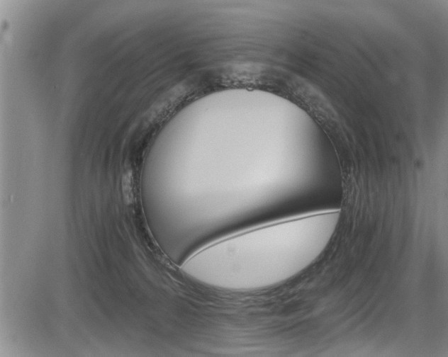 X0000084030224200702160900