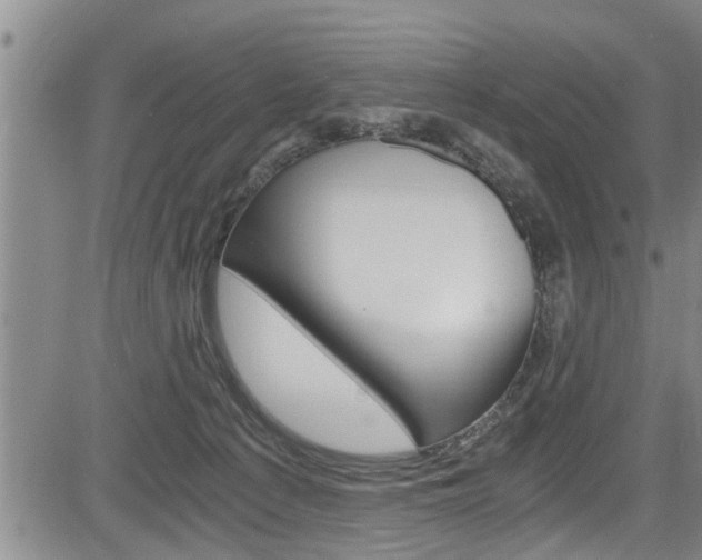 X0000084030225200702160900