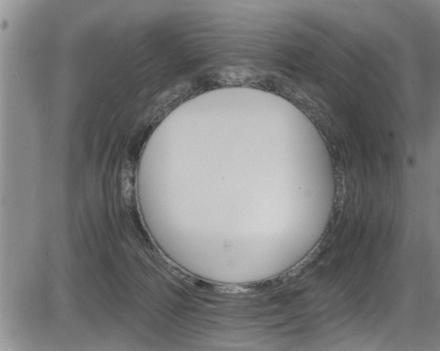 X0000084030226200702160900