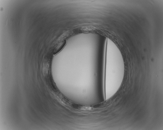 X0000084030227200702160900