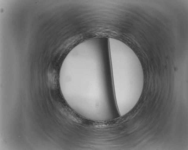 X0000084030228200702160900