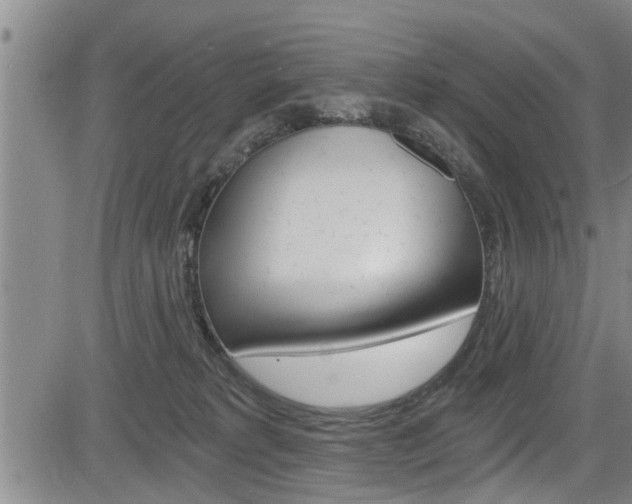 X0000084030229200702160900