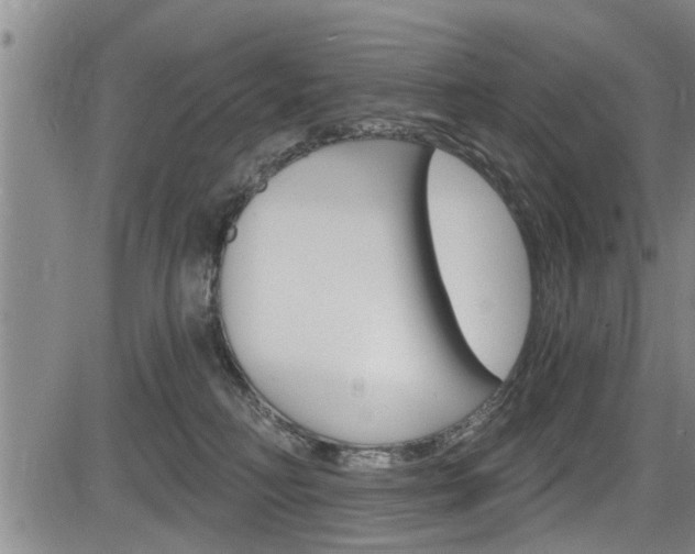 X0000084030230200702160900