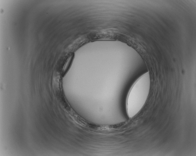 X0000084030231200702160900