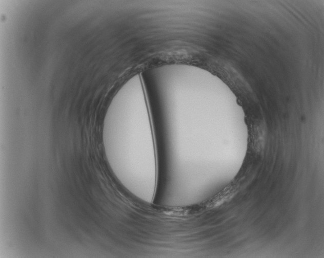 X0000084030232200702160900