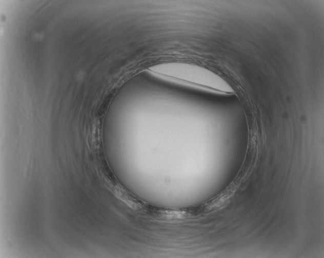 X0000084030233200702160900