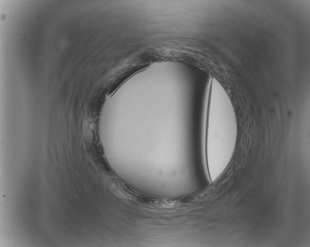 X0000084030235200702160900