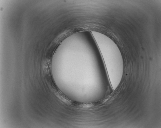 X0000084030237200702160900