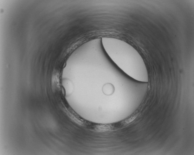 X0000084030238200702160900