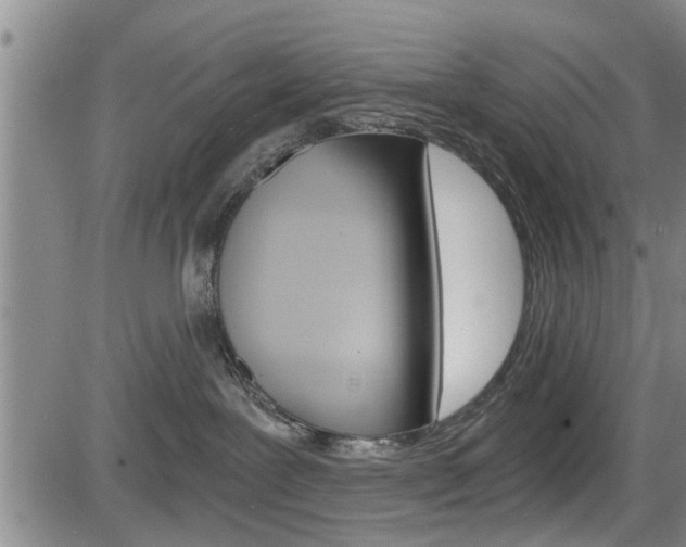 X0000084030239200702160900