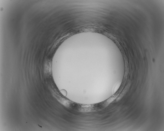 X0000084030240200702160900