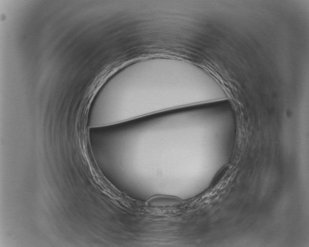 X0000084030241200702160859