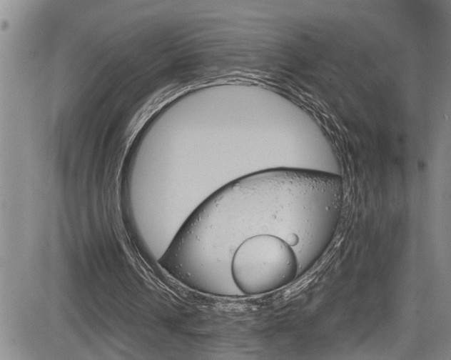 X0000084030242200702160859