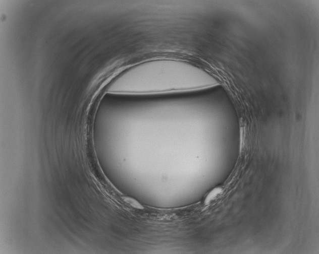 X0000084030243200702160859