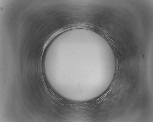 X0000084030244200702160859