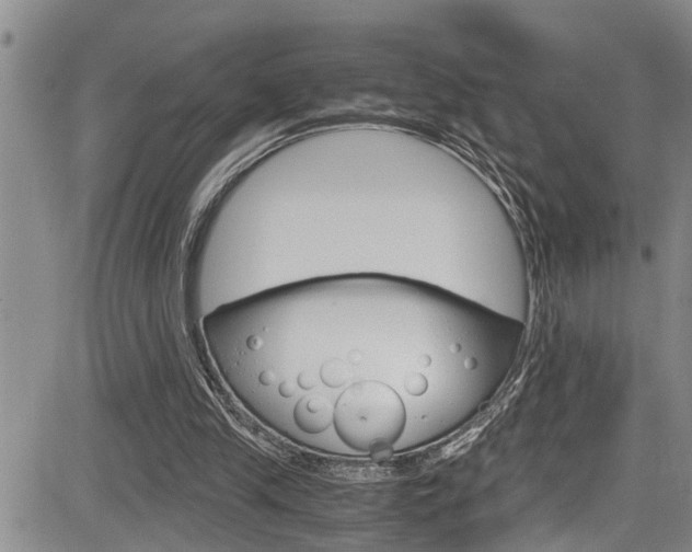 X0000084030245200702160859