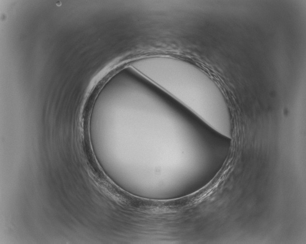 X0000084030246200702160859