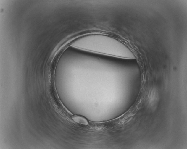 X0000084030247200702160859