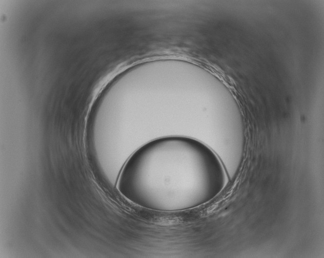 X0000084030248200702160859