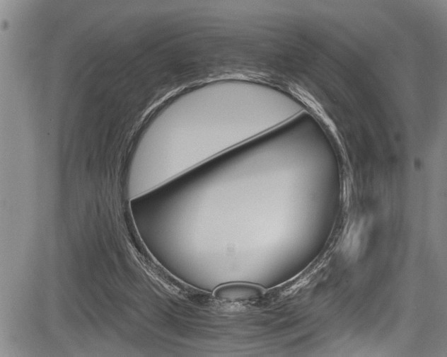 X0000084030249200702160859