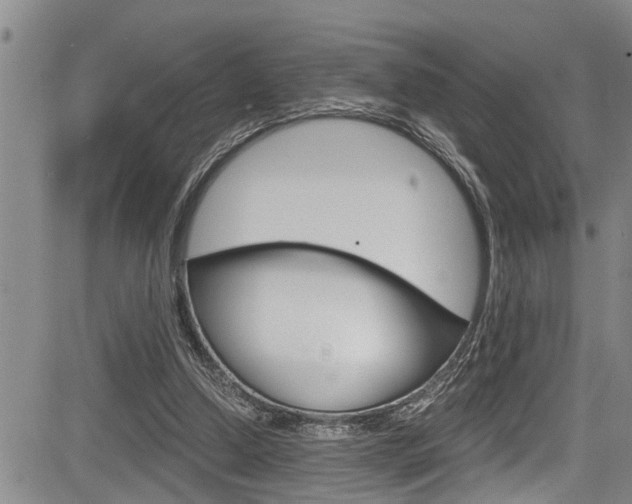 X0000084030250200702160859