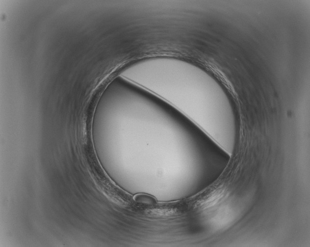 X0000084030251200702160859