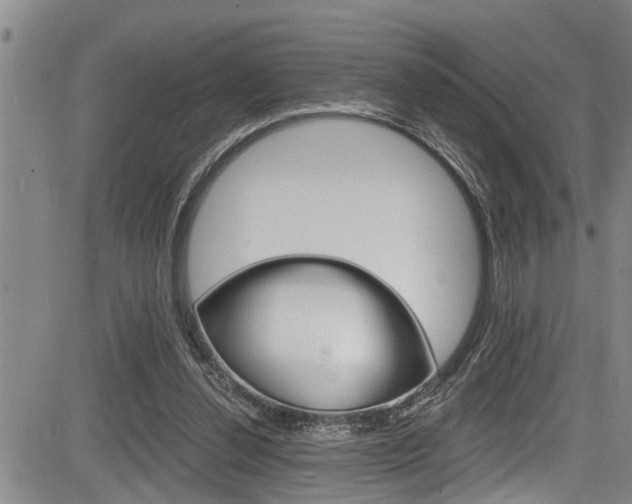 X0000084030252200702160859