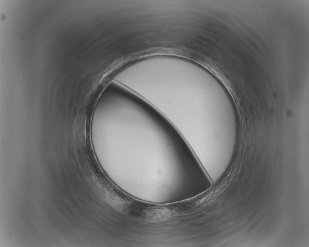 X0000084030253200702160859