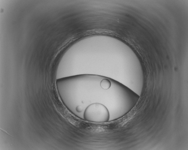 X0000084030254200702160859