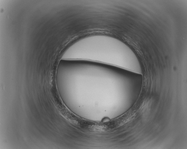 X0000084030255200702160859