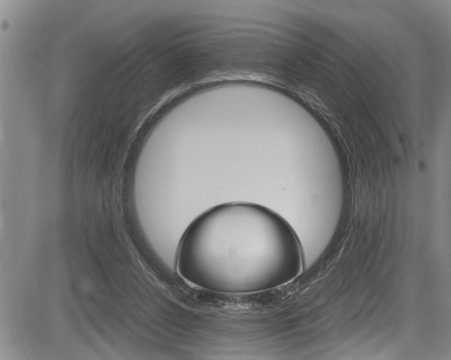 X0000084030256200702160859