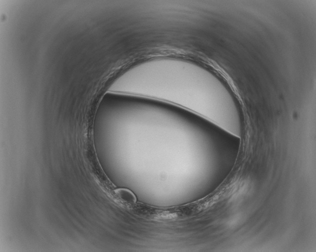 X0000084030257200702160859