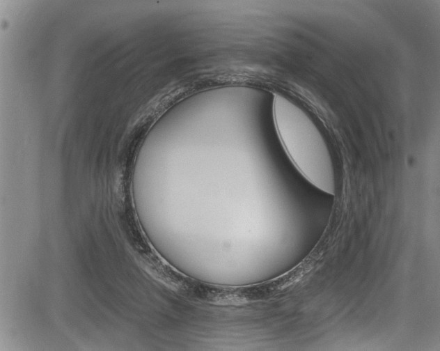 X0000084030258200702160859