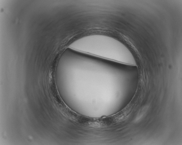 X0000084030259200702160859