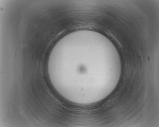 X0000084030260200702160859