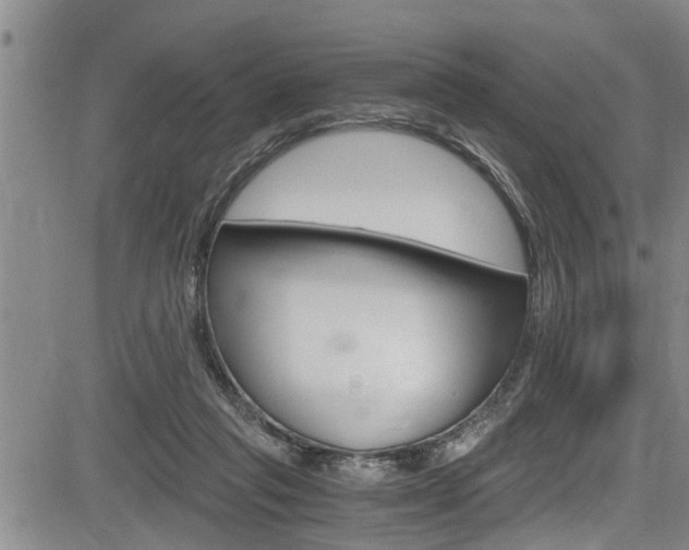 X0000084030261200702160859