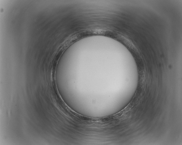 X0000084030262200702160859