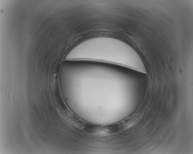 X0000084030263200702160859