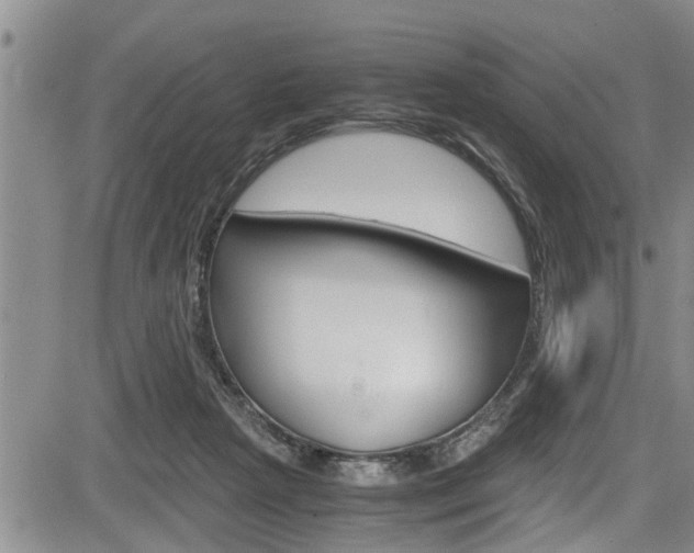 X0000084030265200702160859