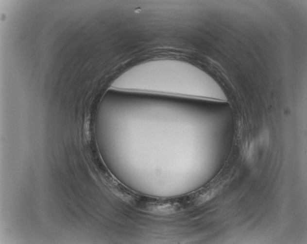 X0000084030267200702160859