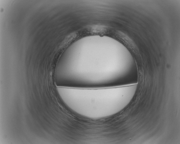 X0000084030269200702160859