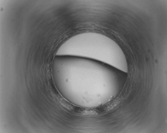 X0000084030270200702160900