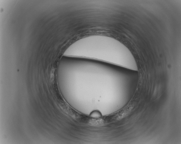 X0000084030271200702160900