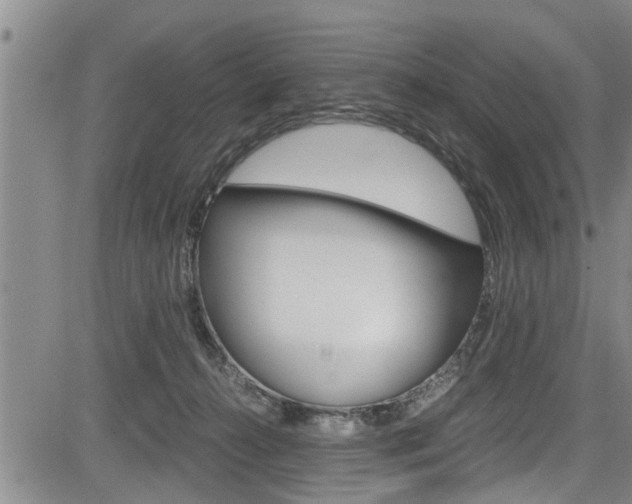 X0000084030272200702160900