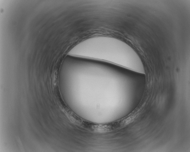 X0000084030273200702160900