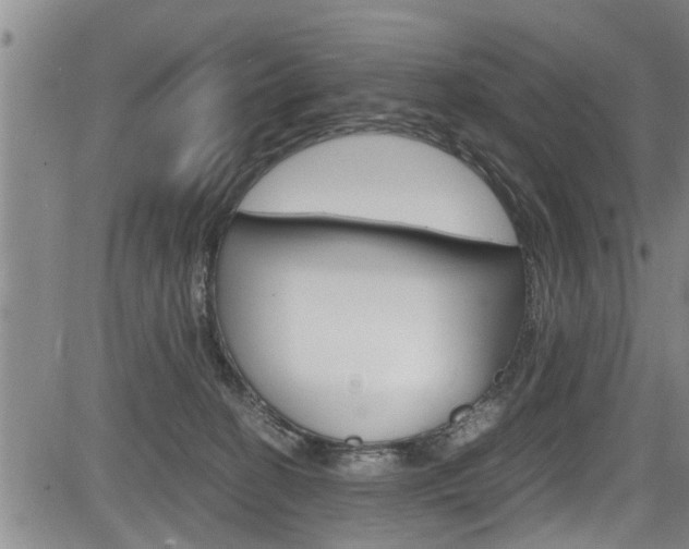 X0000084030274200702160900