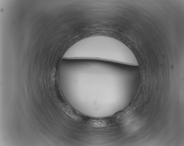 X0000084030275200702160900