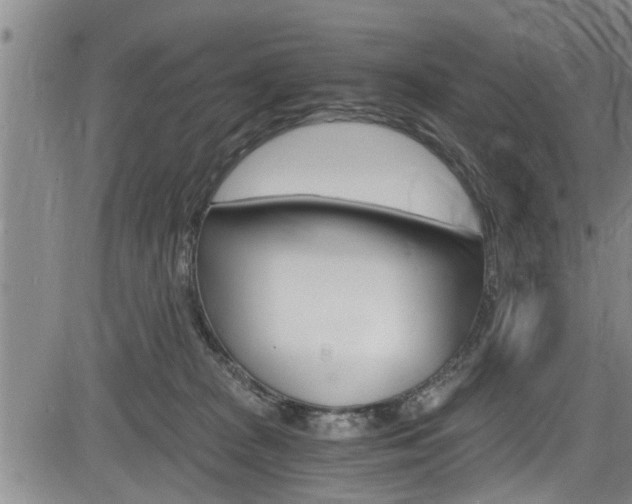 X0000084030277200702160900