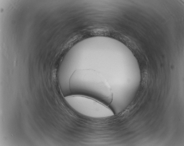 X0000084030278200702160900